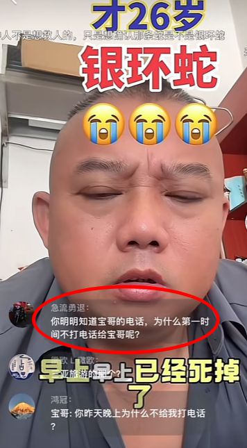 类博主两天涨粉200万电话被打爆交给朋友接听pg电子平台三亚女游客被蛇咬身亡事件带火蛇(图4)