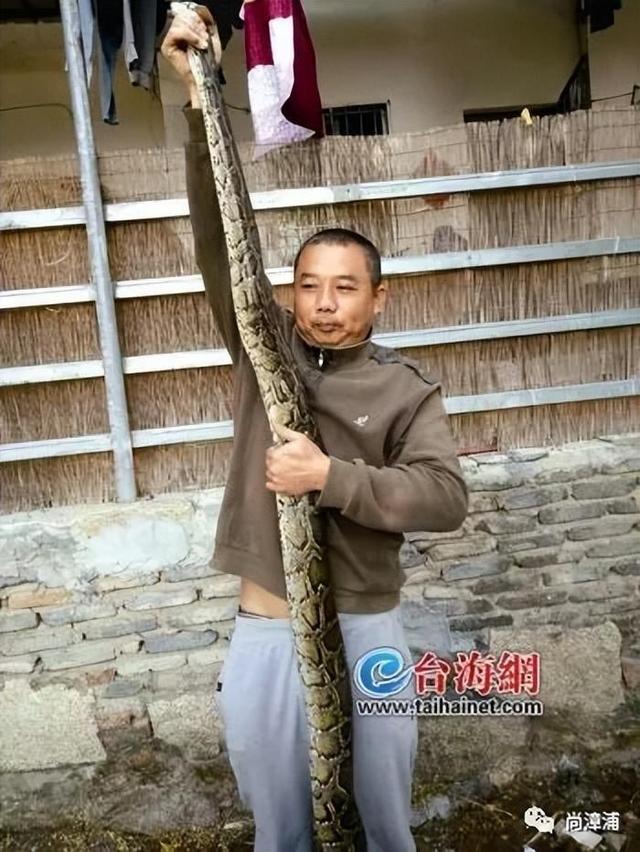 类博主两天涨粉200万电话被打爆交给朋友接听pg电子平台三亚女游客被蛇咬身亡事件