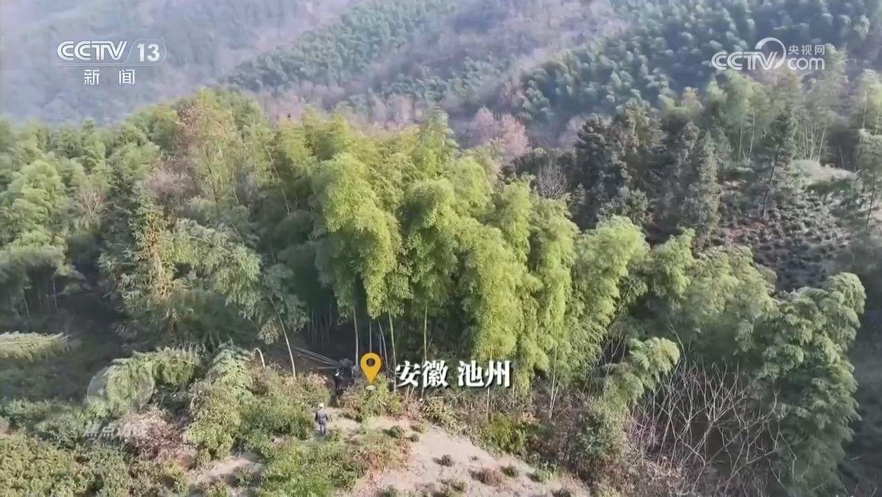 色消费催生新消费、重塑新生活pg电子试玩入口焦点访谈｜绿